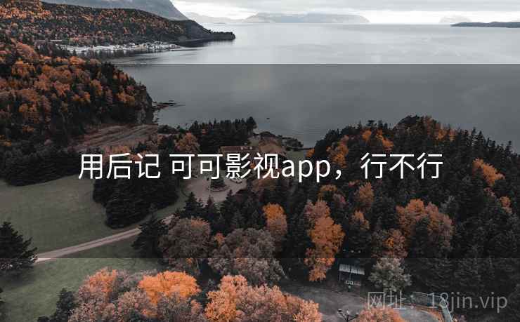 用后记 可可影视app，行不行