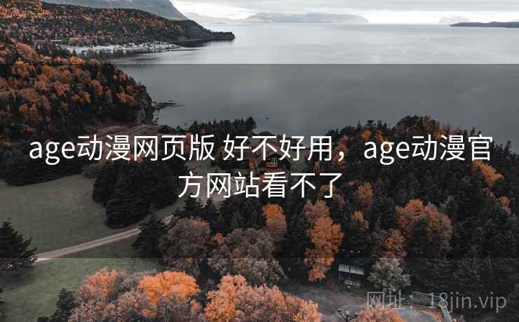 age动漫网页版 好不好用，age动漫官方网站看不了