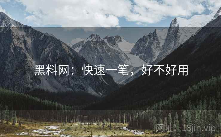 黑料网：快速一笔，好不好用