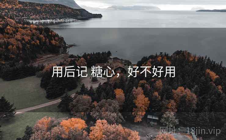 用后记 糖心，好不好用